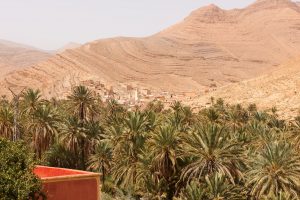 Bild einer Stadt mit Palmenoase in den Bergen des Antiatlas Gebirges in Marokko