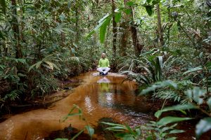 Bild eines im Regenwald und in einem Bachlauf meditierenden Mannes