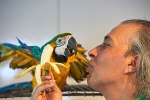 Mann kommuniziert liebevoll mit einem kranken Papagei