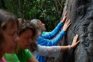 Foto von europäischen Frauen, die einen großen Baum im Regenwald befühlen