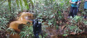 Momentaufnahme im Regenwald einer Fotogruppe an einem kleinen Bach