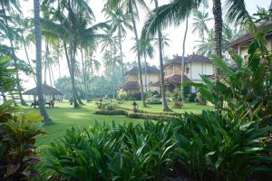 Das Foto zeigt eine sehr gepflegte Hotelanlage mit schöne Palmen und Gästehäusern in zarten Sonnenlicht