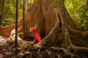 Tänzerin in rot vor einem Mammutbaum