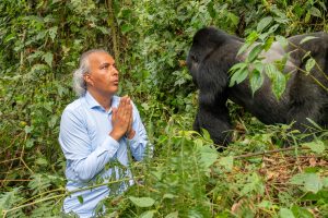 Tierheilung im Dschungel mit Heiler und Gorilla