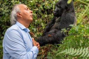 Tierheilung und Begegnung im Dschungel mit Heiler und Gorilla